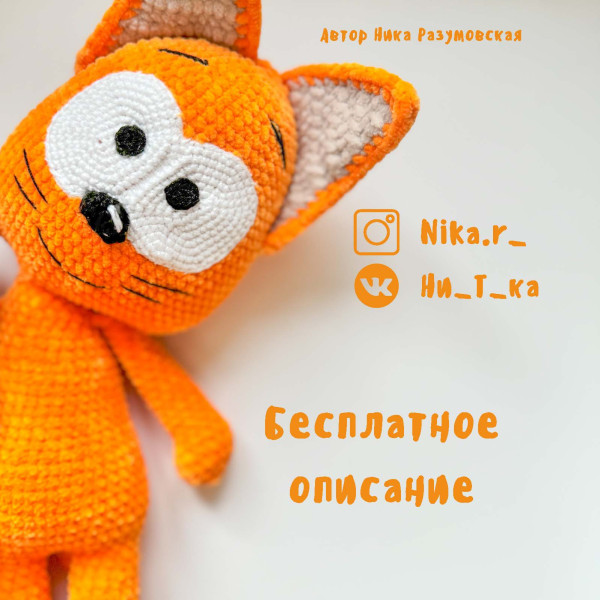 Котики. Коте