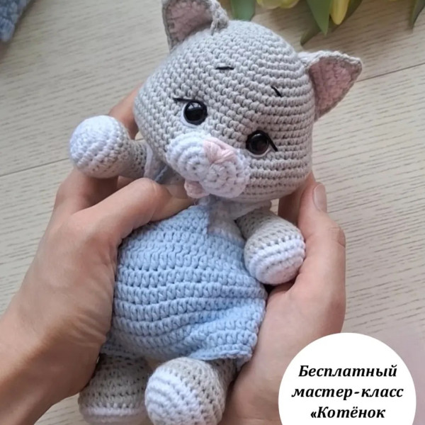 Котики. Котенок Тимка