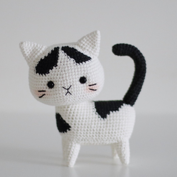 Котики. Бело-черный котик