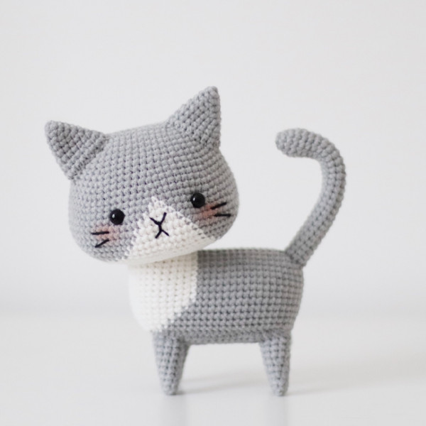 Котики. Серо-белый кот