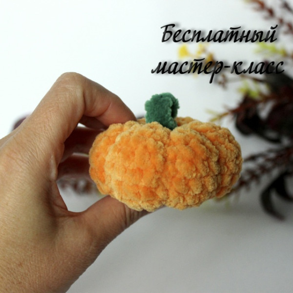 Овощи, фрукты, ягоды, плоды. Тыковка