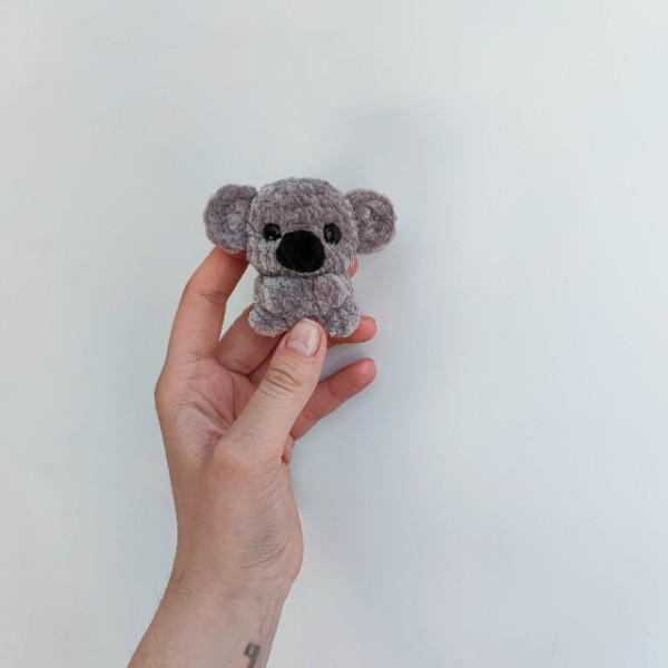 Коалы. Коала