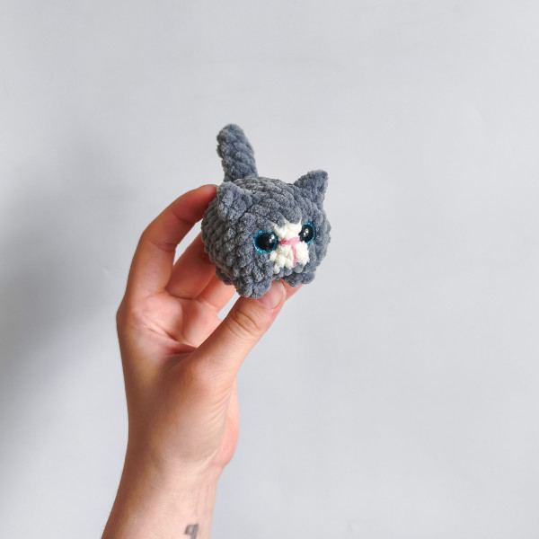 Котики. Котик